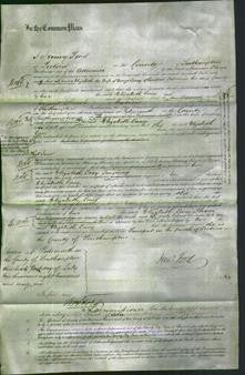 Court of Common Pleas - Elizabeth Loney-Original Ancestry