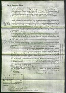 Court of Common Pleas - Jemima Salter Bly-Original Ancestry