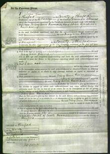 Court of Common Pleas - Mary Ann Freeman-Original Ancestry