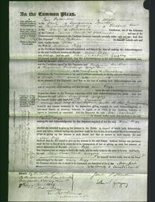 Court of Common Pleas - Ann Rigg-Original Ancestry