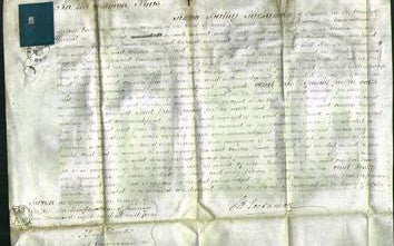 Court of Common Pleas - Amelia Howell-Original Ancestry