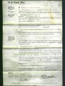 Court of Common Pleas - Sarah Louisa Hood-Original Ancestry