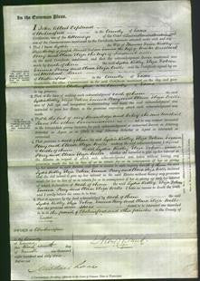 Court of Common Pleas - Lydia Ridley, Eliza Dobson, Emma Perry and Clara Eliza Wells-Original Ancestry