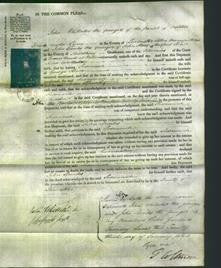 Court of Common Pleas - Susannah Burr-Original Ancestry