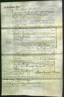 Court of Common Pleas - Martha Pearson-Original Ancestry