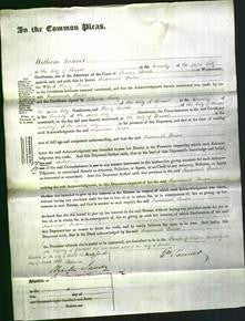 Court of Common Pleas - Susannah Penton-Original Ancestry