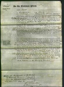 Court of Common Pleas - Mary Ann Gapper Chedzey, Emma Gapper Pine and Sarah Gapper Harden-Original Ancestry