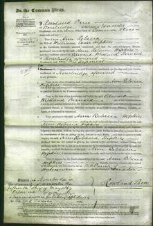 Court of Common Pleas - Ann Rebecca Hipkins-Original Ancestry