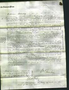 Court of Common Pleas - Mary Ann Wood-Original Ancestry