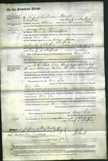 Court of Common Pleas - Ann Lea Mountford-Original Ancestry