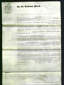 Court of Common Pleas - Priscilla Richards-Original Ancestry