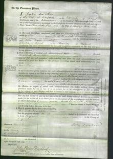 Court of Common Pleas - Charlotte Franklin-Original Ancestry