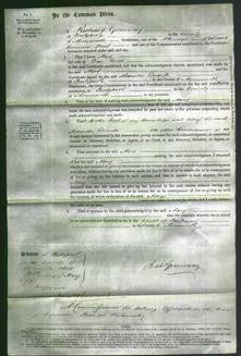 Court of Common Pleas - Mary Jones-Original Ancestry