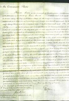 Court of Common Pleas - Mary Stowe-Original Ancestry