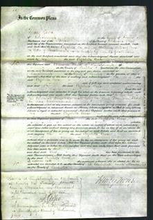 Court of Common Pleas - Elizabeth Coare-Original Ancestry