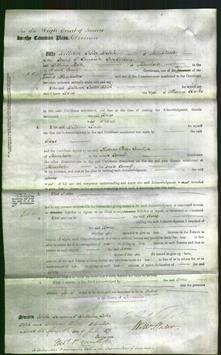 Court of Common Pleas - Anne Clarke-Original Ancestry