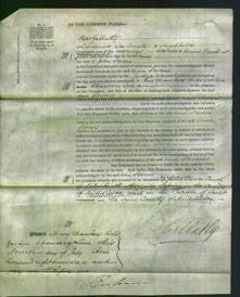 Court of Common Pleas - Ann Stevens-Original Ancestry