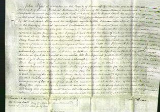 Court of Common Pleas - Sarah Davey-Original Ancestry