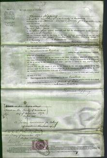 Court of Common Pleas - Caroline Jones-Original Ancestry