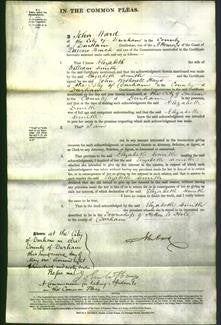 Court of Common Pleas - Elizabeth Smith-Original Ancestry