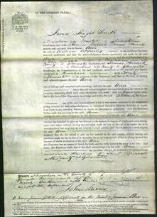 Court of Common Pleas - Ann Apperley-Original Ancestry