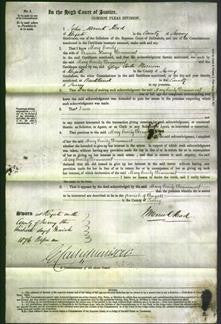 Court of Common Pleas - Mary Emily Beaumont-Original Ancestry