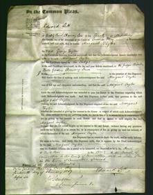 Court of Common Pleas - Margaret Tayler-Original Ancestry