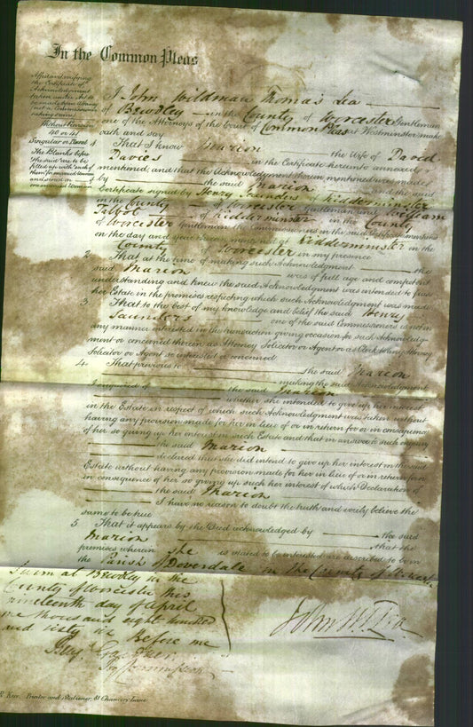 Court of Common Pleas - Marion Davies