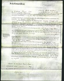 Court of Common Pleas - Mary Clown-Original Ancestry