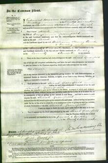 Court of Common Pleas - Sarah Greenfield-Original Ancestry