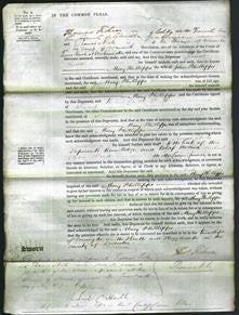 Court of Common Pleas - Mary Phillipps-Original Ancestry