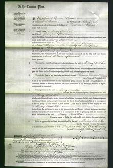 Court of Common Pleas - Mary Austin-Original Ancestry