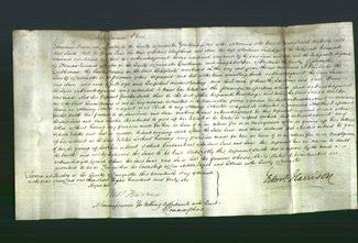 Court of Common Pleas - Jane Sheperd and Ann Sutcliffe-Original Ancestry