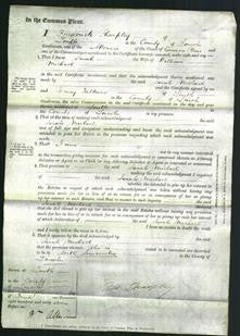 Court of Common Pleas - Sarah Michael-Original Ancestry