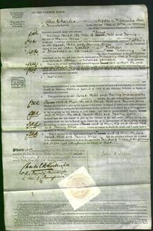 Court of Common Pleas - Sarah Hill, Fanny Jones-Original Ancestry