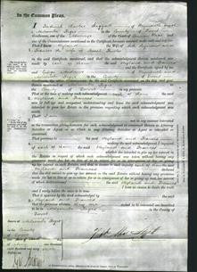 Court of Common Pleas - Weyland Seymour and Frances Fowler-Original Ancestry