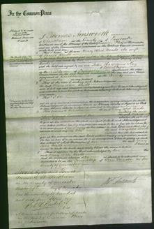 Court of Common Pleas - Mary Alice Beads-Original Ancestry