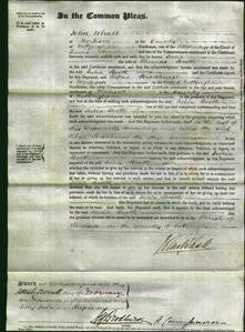 Court of Common Pleas - Julia Booth-Original Ancestry