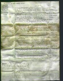 Court of Common Pleas - Frances Elizabeth Anne Fortescue-Original Ancestry