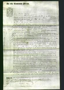 Court of Common Pleas - Charlotte Sarah Roberts and Sarah Margaret Roberts-Original Ancestry