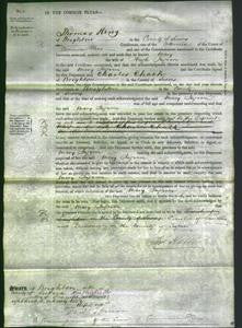 Court of Common Pleas - Mary Ingram-Original Ancestry