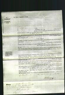 Court of Common Pleas - Ann Fry-Original Ancestry