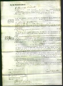 Court of Common Pleas - Maria Mill-Original Ancestry