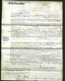 Court of Common Pleas - Sarah Marks and Elizabeth Cunningham-Original Ancestry