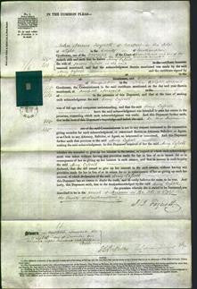 Court of Common Pleas - Amy Cassell-Original Ancestry