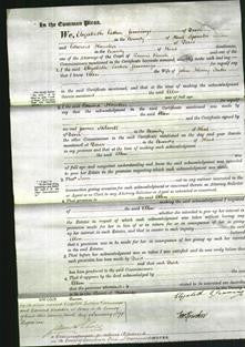 Court of Common Pleas - Ellen Tuke-Original Ancestry