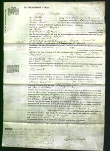 Court of Common Pleas - Mary Naylor and Ann Sutton-Original Ancestry