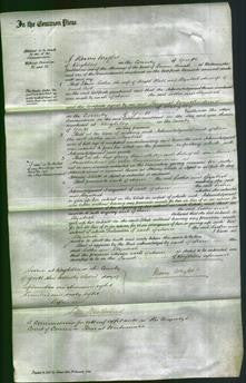 Court of Common Pleas - Esther Hall and Elizabeth Scott-Original Ancestry