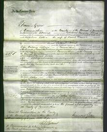 Court of Common Pleas - Esther Daniel-Original Ancestry