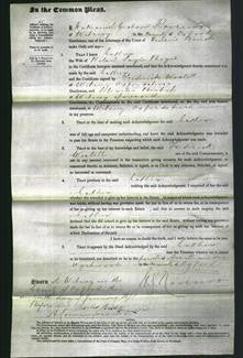 Court of Common Pleas - Esther Boyes-Original Ancestry